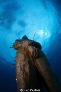 Hombre en llamas in the cancun`s underwater museum


 ... by Juan Cardona 